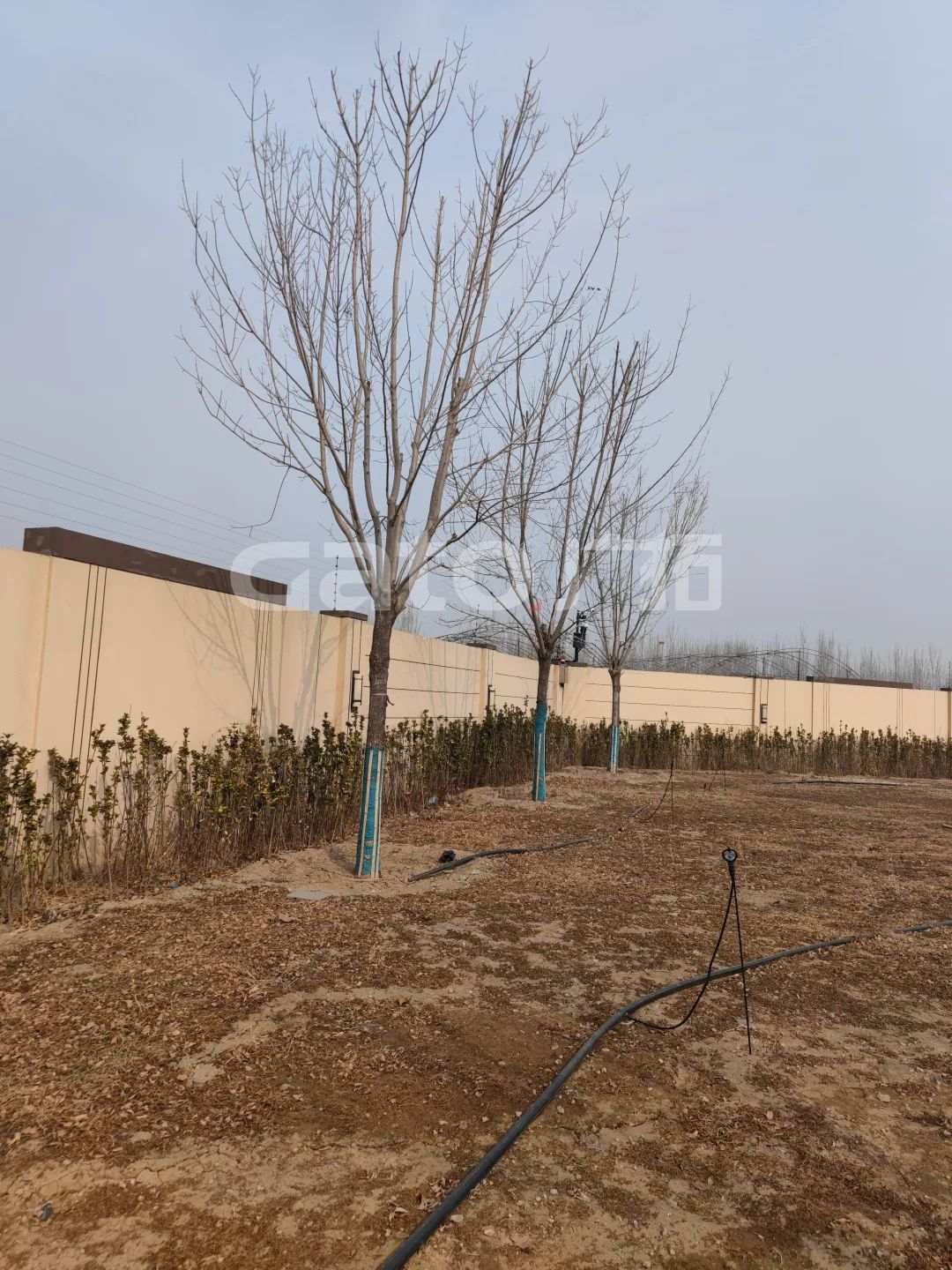 國家建筑節(jié)能技術(shù)國際創(chuàng)新園投產(chǎn)，廣拓G5s守護周界安全(圖8)