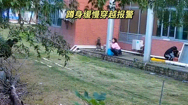 用數(shù)據(jù)說話，風雨小動物不誤報！(圖9)