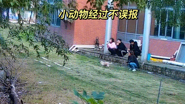 用數(shù)據(jù)說話，風雨小動物不誤報！(圖13)