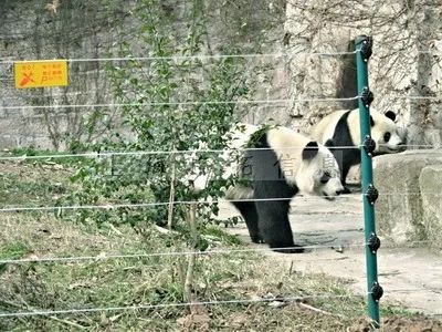 五一出游高峰不必慌，疫情防控神器來幫忙！(圖13)